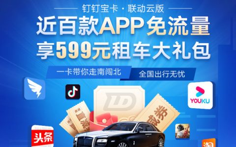 中国联通钉钉宝卡·联动云版（ 月租10元含30GB定向+1GB全国流量+100分钟全国通话 ）