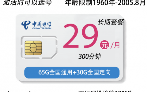 山东电信畅悦卡（29元65G通用流量30g定向300分钟）