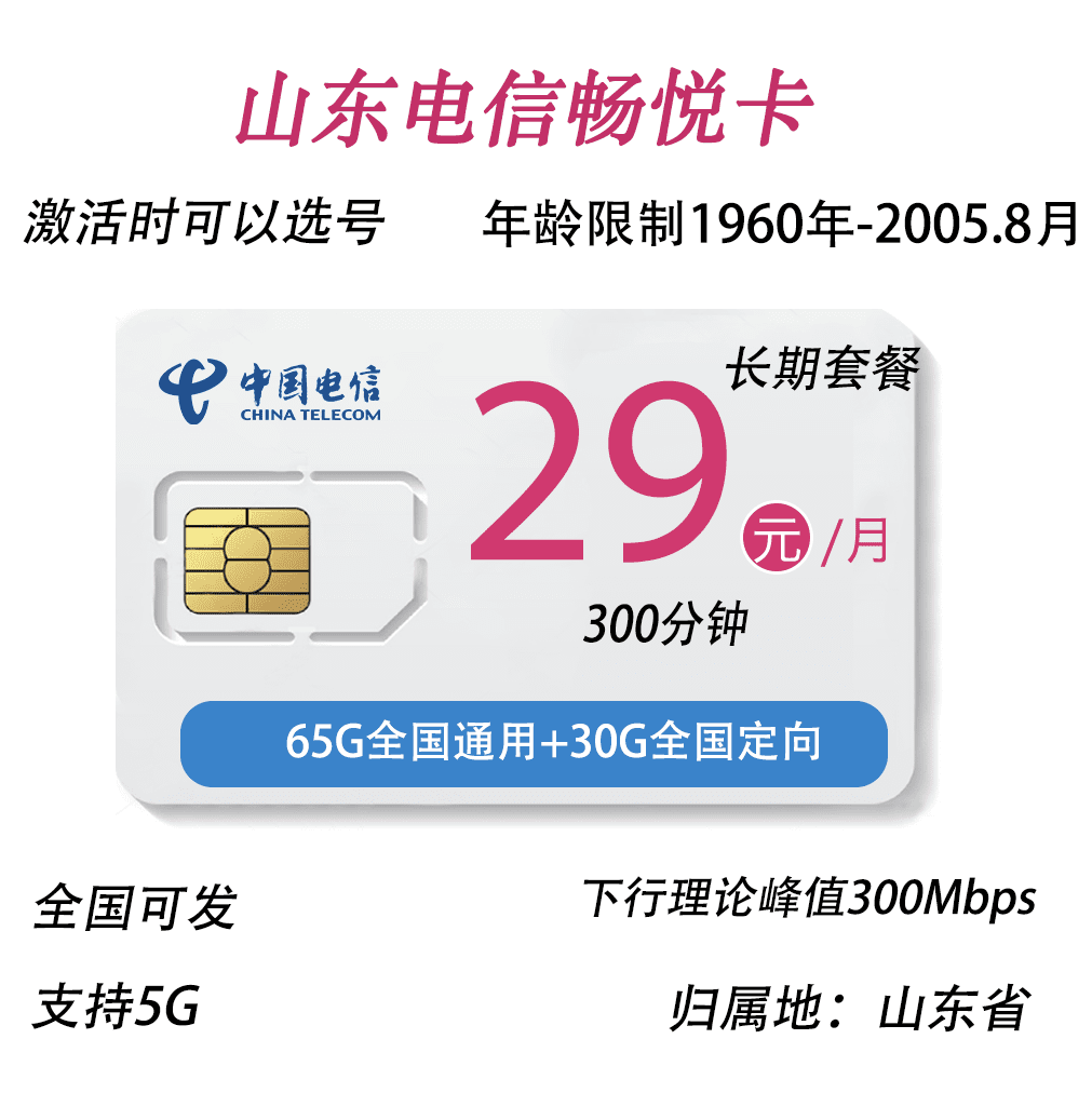 山东电信畅悦卡（29元65G通用流量30g定向300分钟）-1