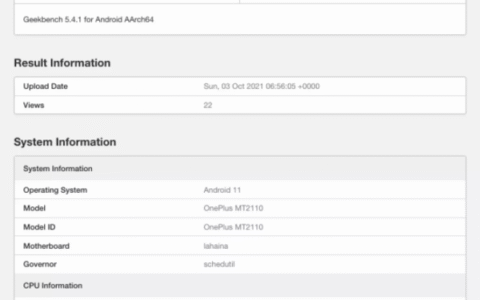 一加9rt跑分，一加9rt跑分多少