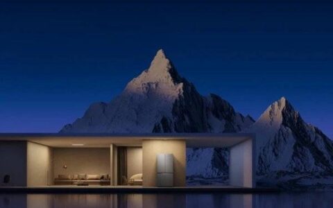 米家十字四门冰箱尊享版550L值得购买吗?