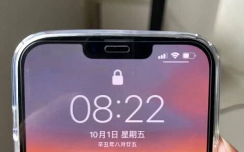 苹果13promax最严重缺点，苹果13promax有哪些缺点