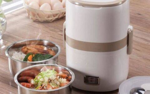 电热饭盒好还是保温饭盒好，长期带饭用什么饭盒好