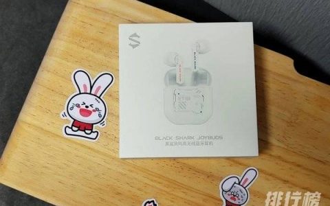 黑鲨凤鸣真无线耳机怎么样，黑鲨凤鸣真无线耳机评测