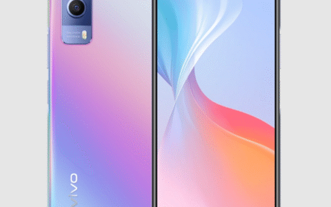 vivot1x评测，vivot1x全面评测