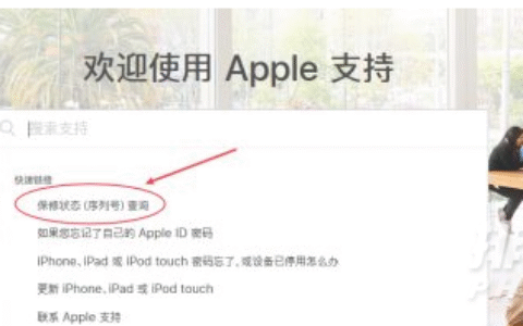iphone保修日期，iphone保修日期查询