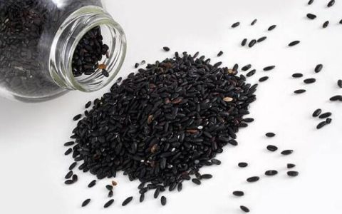 移动芝麻卡怎么样值得办理吗，移动芝麻卡19元、29元套餐介绍