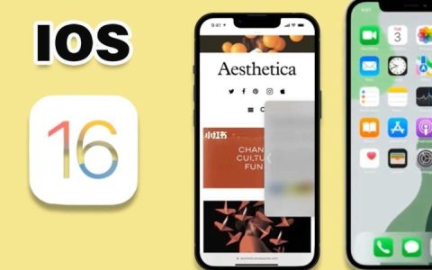 苹果手机怎么分屏操作，全新的iOS16系统即将支持