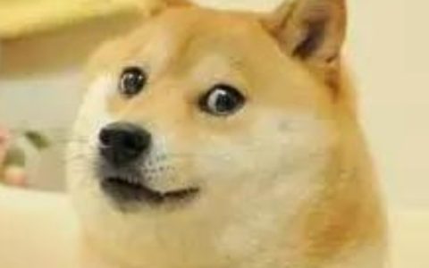 携号转网怎么办理，携号转网具体操作流程