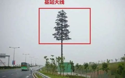 通信基站为什么要伪装成大树？看完你就明白