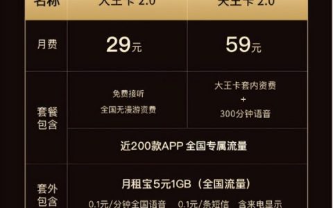 中国联通大王卡29元套餐详情（2022版）