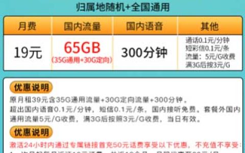 电信19元流量王套餐详情