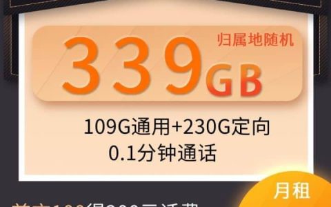 电信流量最多的套餐是哪个 电商神州卡49元月租339G流量