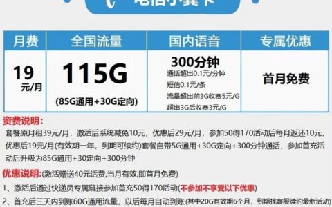 电信小翼卡19元套餐 115G流量不限速+300分钟通话