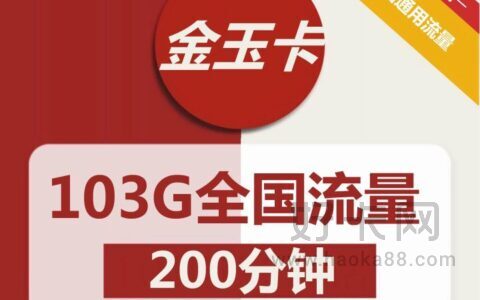 联通金玉卡 29元包103G通用流量+200分钟全国通话