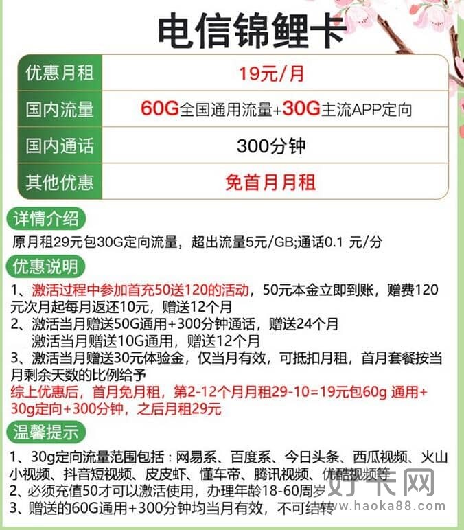 电信锦鲤卡怎么样 19元月租90G流量300分钟通话-1