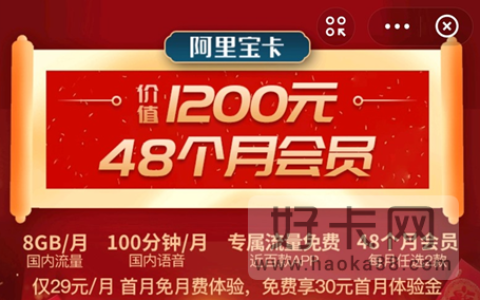 阿里宝卡有哪些套餐 分小宝卡、大宝卡