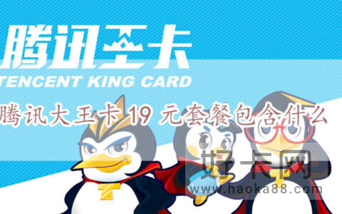 19元大王卡还有吗在哪里申请？
