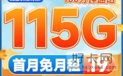 电信梧桐卡 19元115G全国高速流量+100分钟通话
