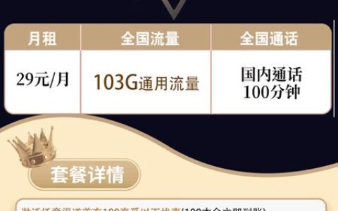 联通29元100g流量卡介绍