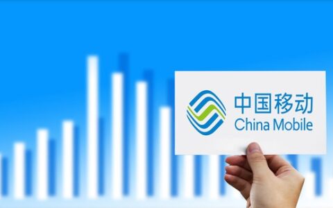 湖北移动1元100g校园流量怎么优先使用？