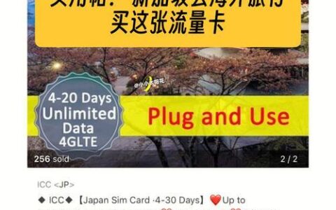 如何购买国外旅游流量？