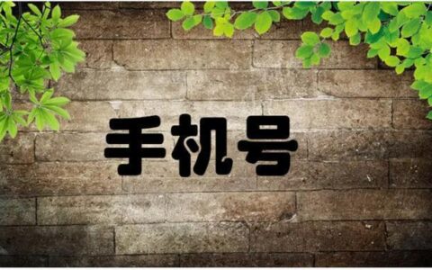 手机号码过户的流程是怎样的？