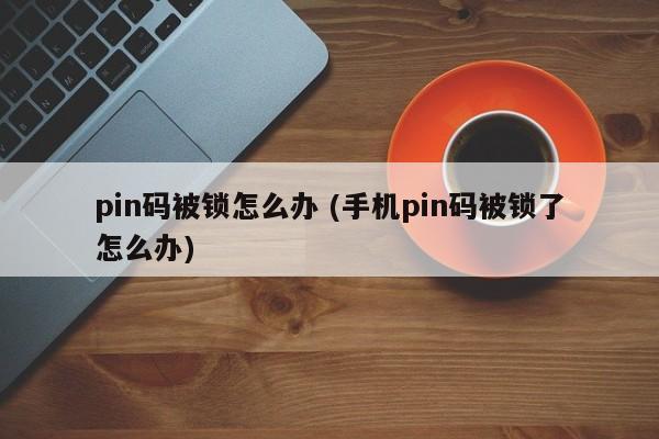 pin码被锁了怎么办？