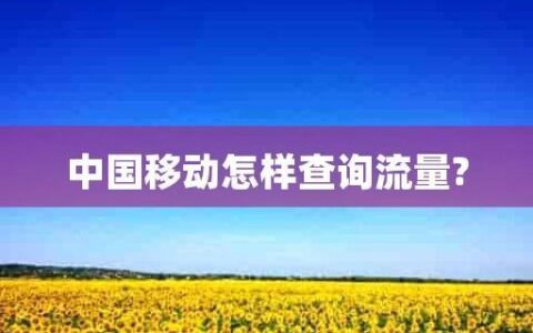 中国移动查流量，四种方法任你选