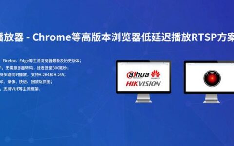 2024年，哪些浏览器可以进入外国网站？