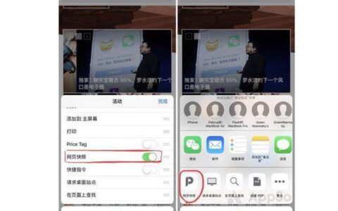 iPhone手机翻国外网站教程：两种方法，一键搞定