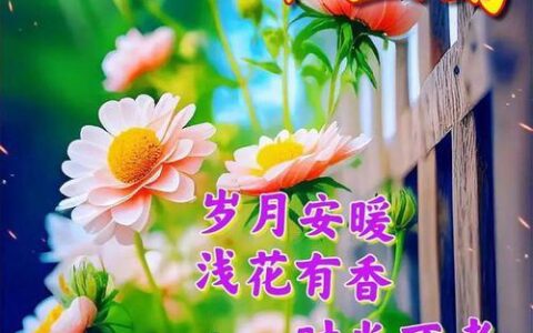 周末问候短信：给朋友和家人的温馨祝福
