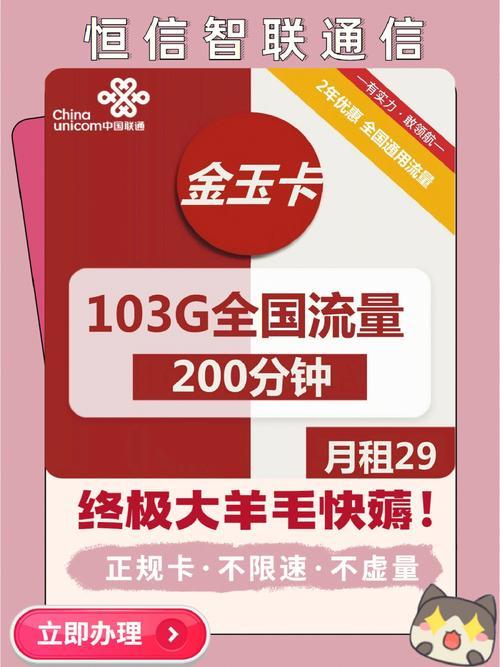 可开热点的联通纯流量卡：冲浪无忧，随时随地