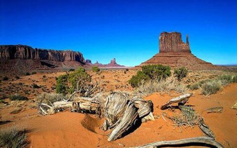 网速最快的地方：摩纳哥、新加坡和智利领跑