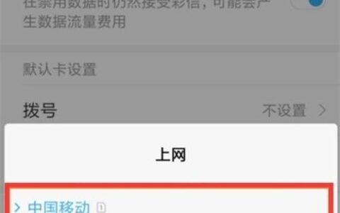 副卡可以上网吗？