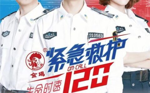 118电话：紧急时刻的生命线