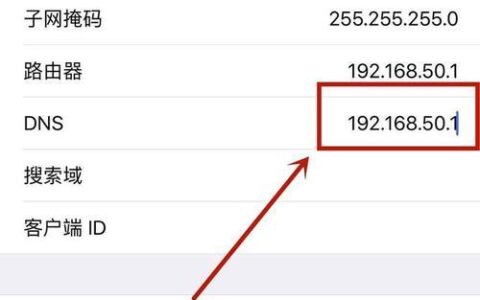 速度比较快的DNS：提升网站和应用性能的关键
