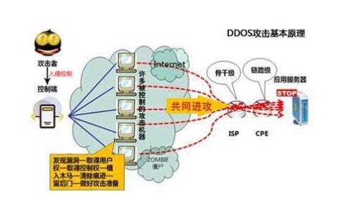 大流量攻击服务器：如何抵御和减轻影响？