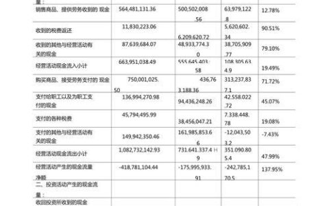 对现金流量表的分析