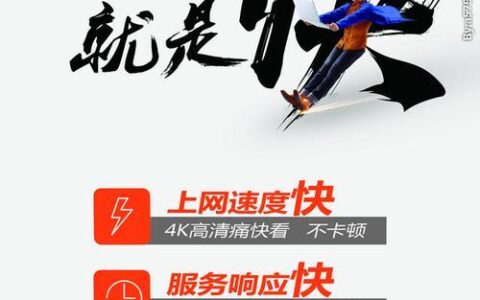 电信厦门宽带：光速体验，自在生活