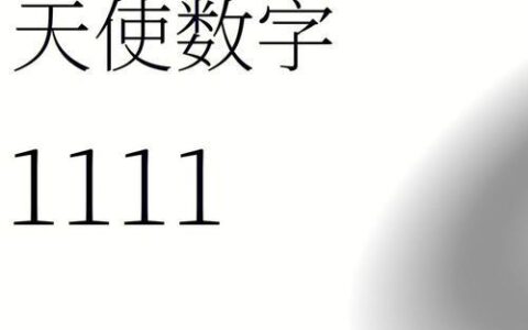 1111号1111：神秘数字背后的意义