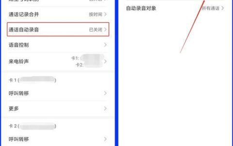 如何在通话时录音：保护您的对话并记录重要信息