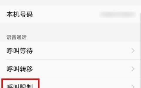 虚拟网络电话呼叫软件：突破地域限制，畅享便捷通话