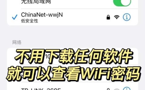 如何让WiFi显示密码？